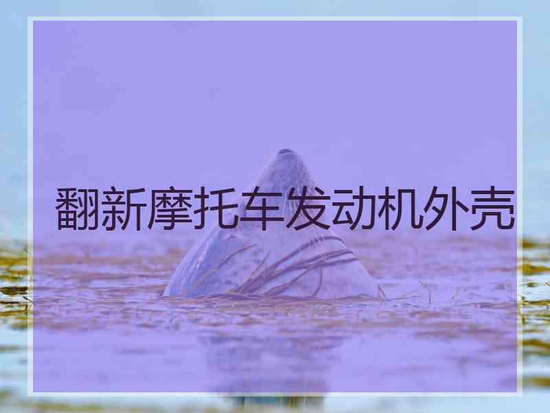 翻新摩托车发动机外壳