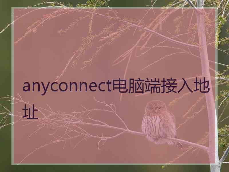 anyconnect电脑端接入地址