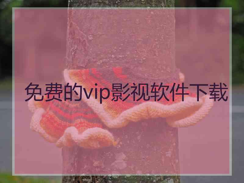 免费的vip影视软件下载