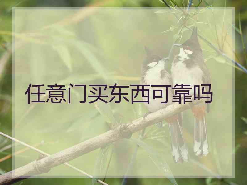 任意门买东西可靠吗