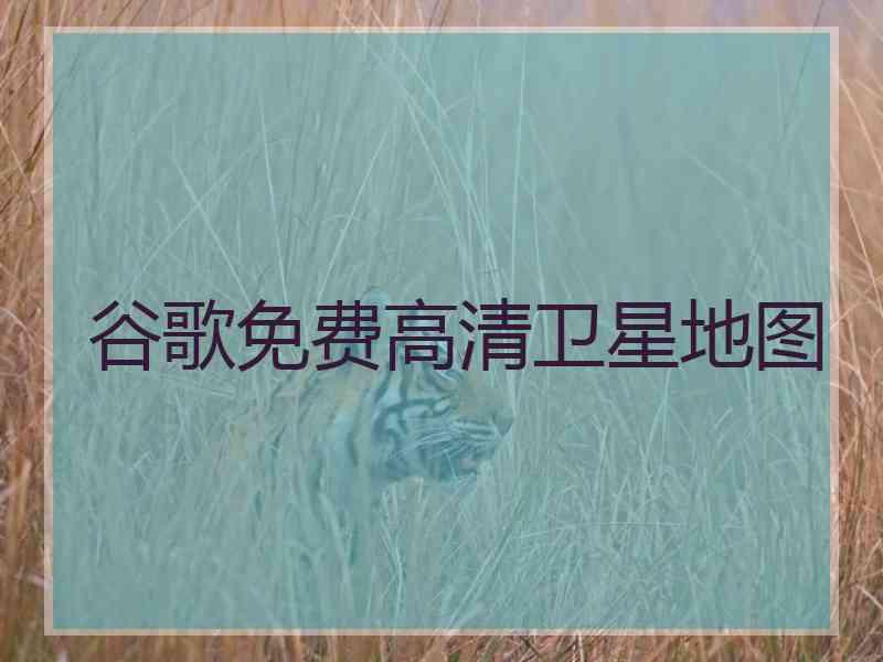 谷歌免费高清卫星地图