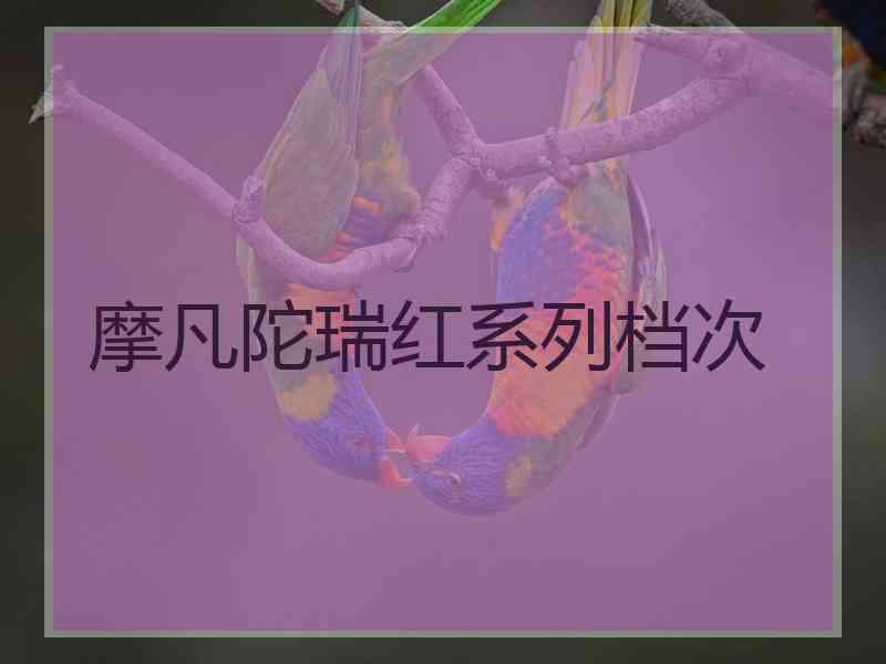 摩凡陀瑞红系列档次