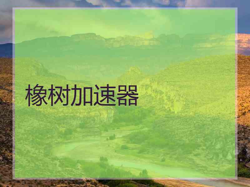 橡树加速器