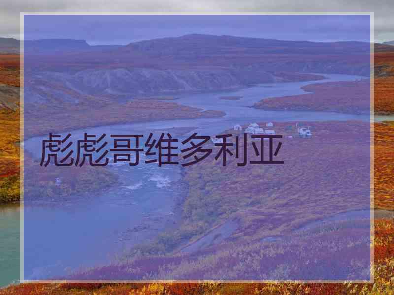 彪彪哥维多利亚