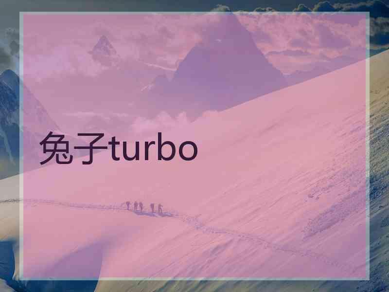 兔子turbo