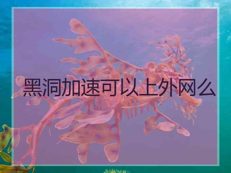黑洞加速可以上外网么