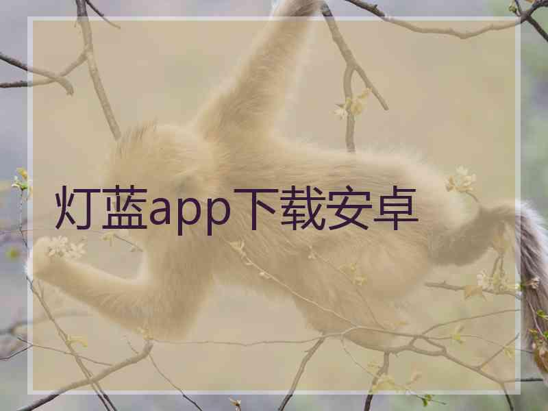 灯蓝app下载安卓