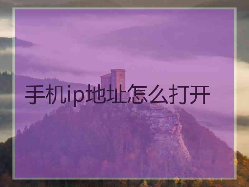 手机ip地址怎么打开
