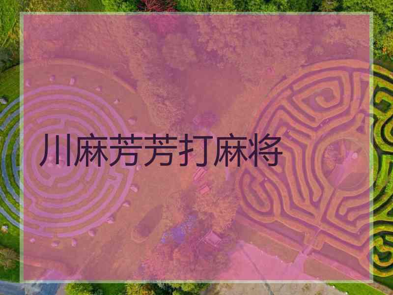 川麻芳芳打麻将