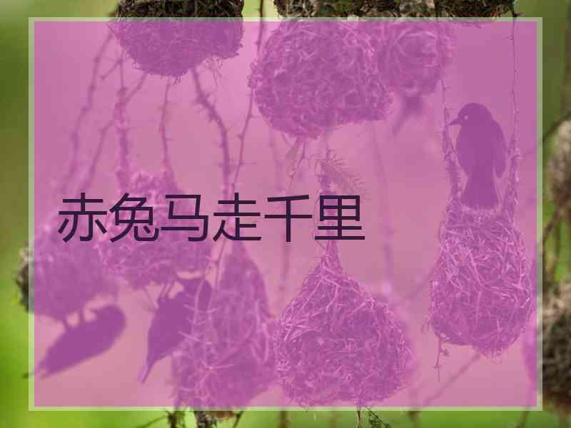赤兔马走千里
