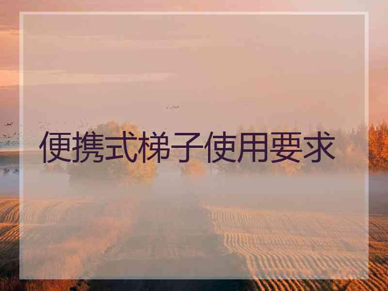便携式梯子使用要求