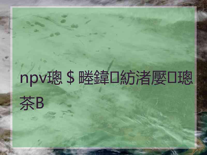 npv璁＄畻鍏紡渚嬮璁茶В