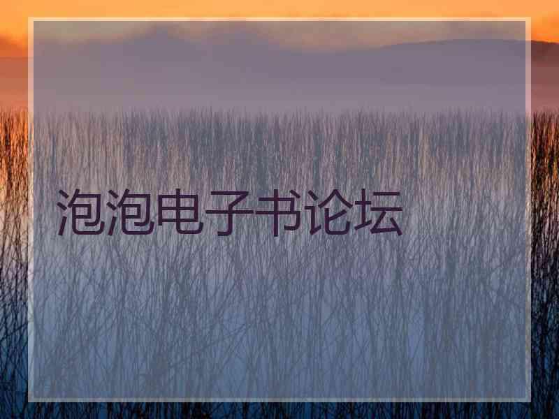 泡泡电子书论坛
