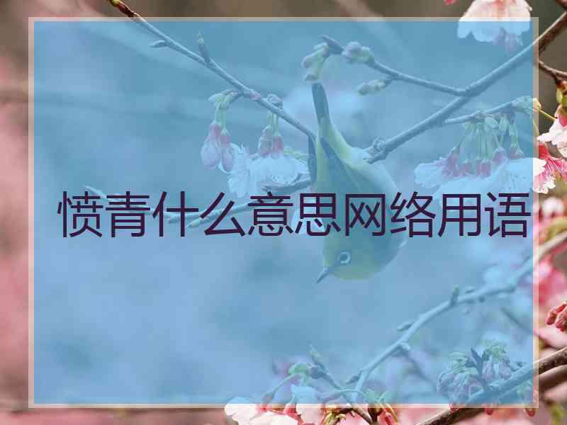 愤青什么意思网络用语