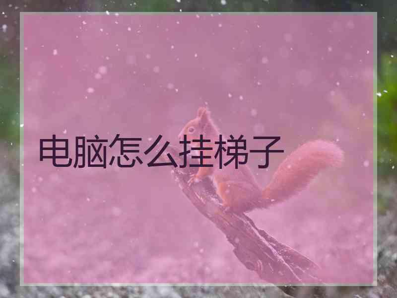 电脑怎么挂梯子