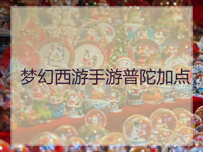 梦幻西游手游普陀加点