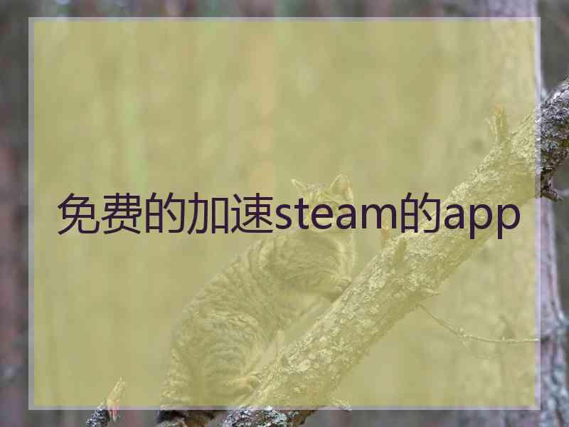 免费的加速steam的app