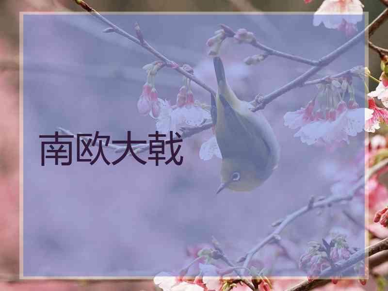南欧大戟