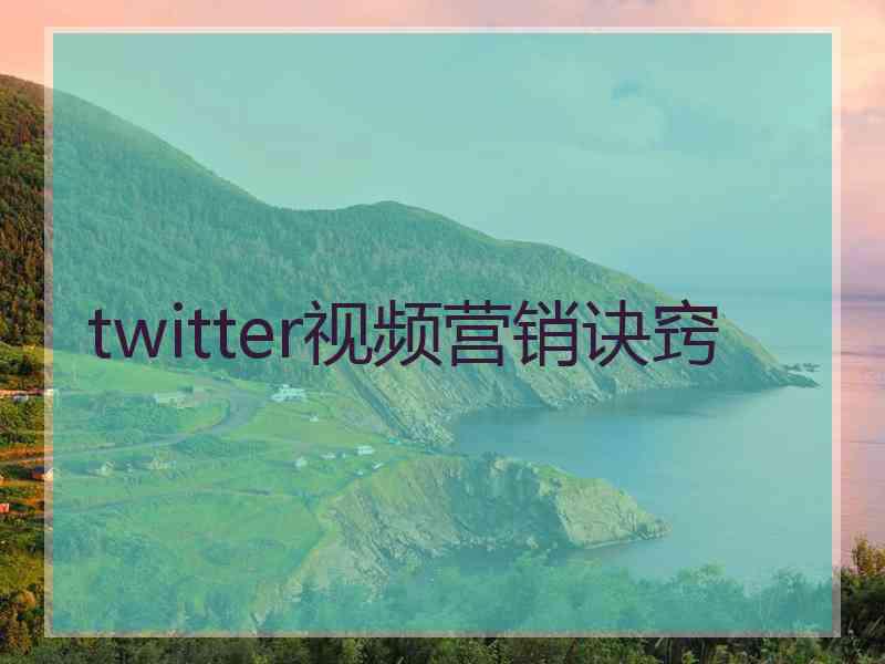 twitter视频营销诀窍