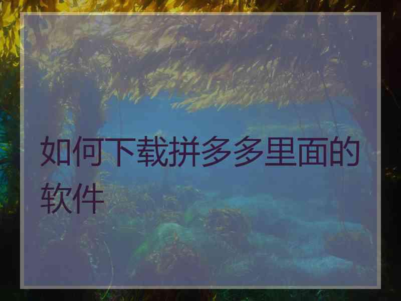 如何下载拼多多里面的软件