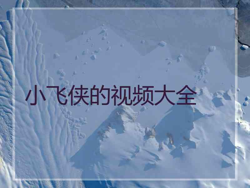 小飞侠的视频大全