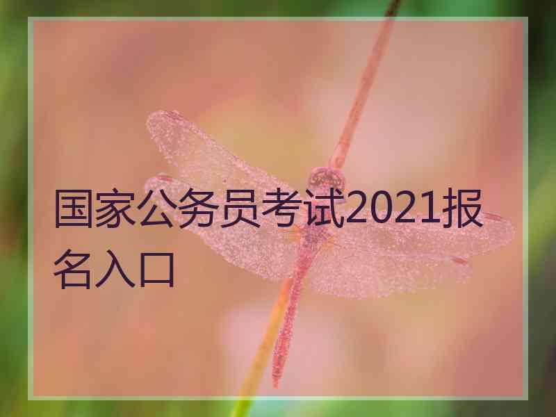 国家公务员考试2021报名入口
