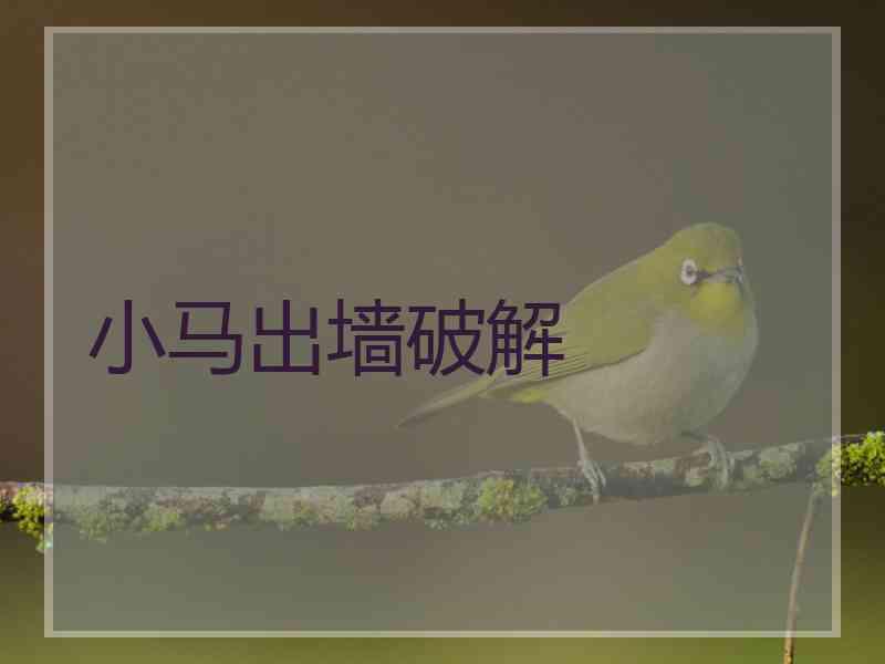 小马出墙破解
