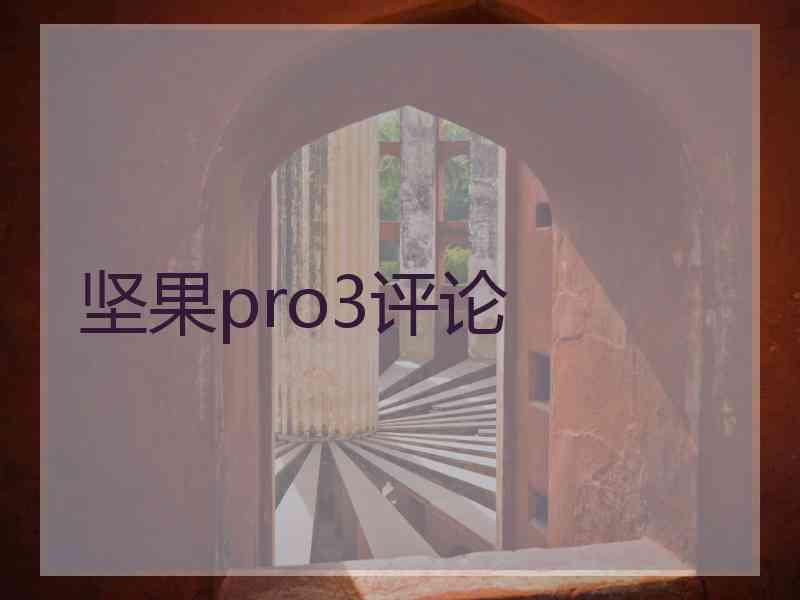 坚果pro3评论