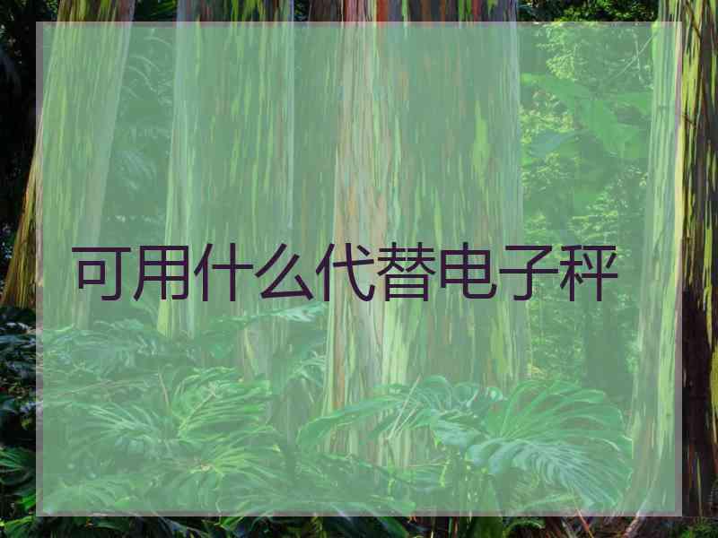 可用什么代替电子秤