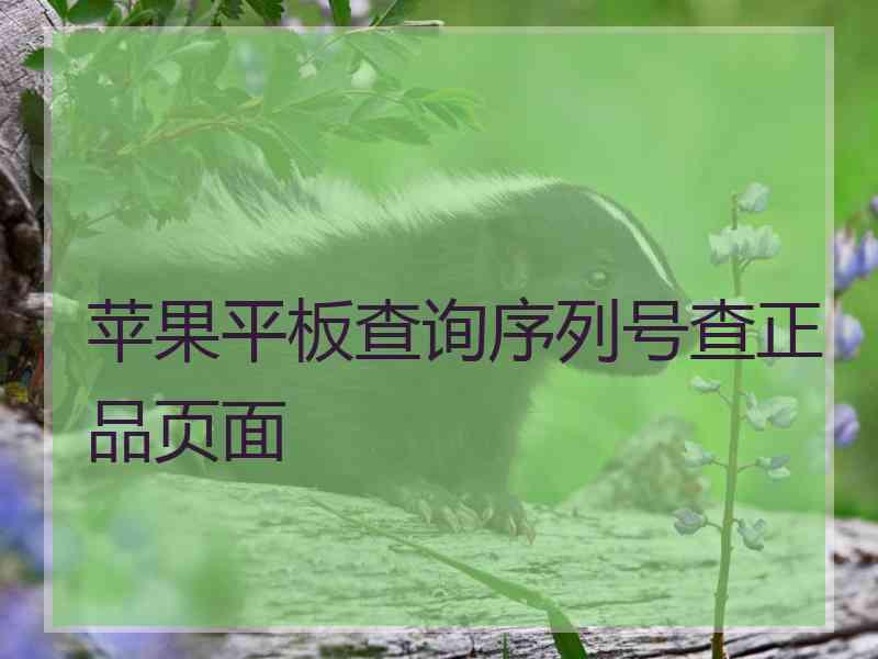 苹果平板查询序列号查正品页面