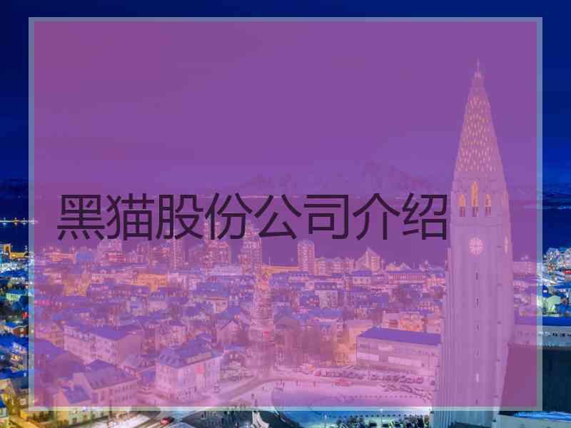 黑猫股份公司介绍
