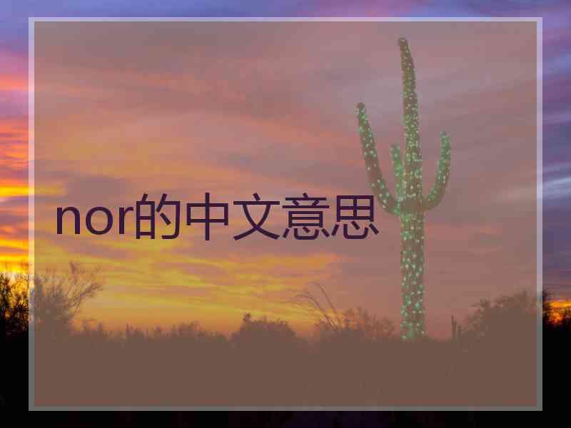 nor的中文意思