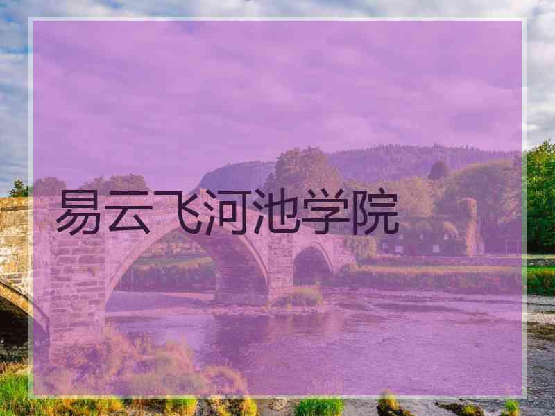 易云飞河池学院