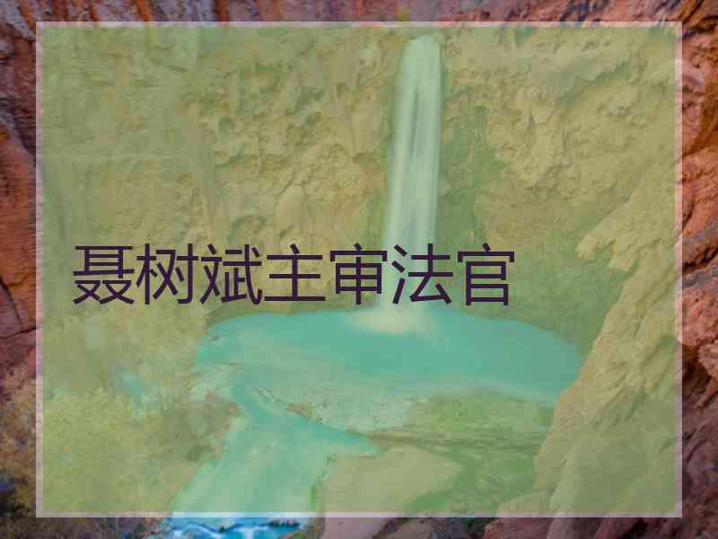 聂树斌主审法官