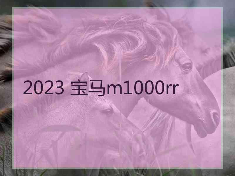 2023 宝马m1000rr