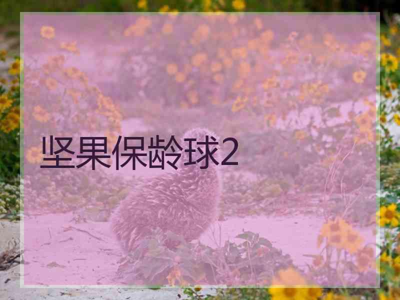 坚果保龄球2