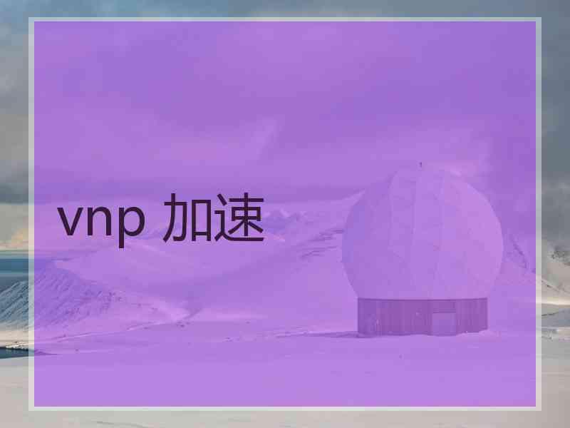 vnp 加速