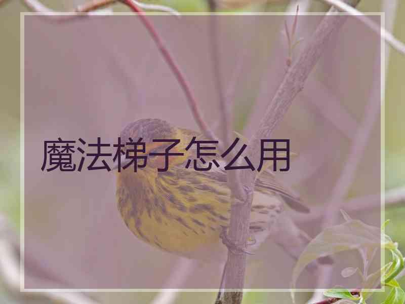 魔法梯子怎么用