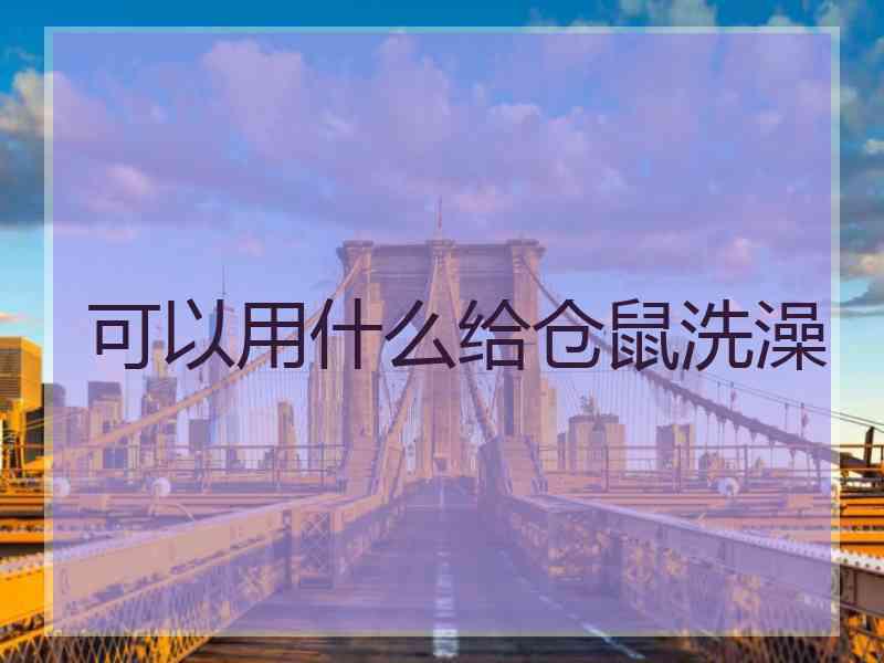 可以用什么给仓鼠洗澡