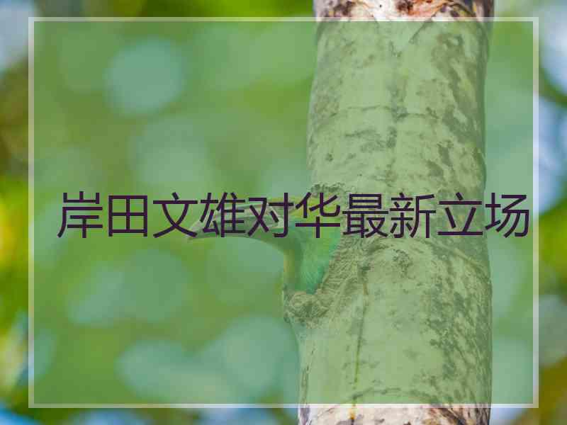 岸田文雄对华最新立场