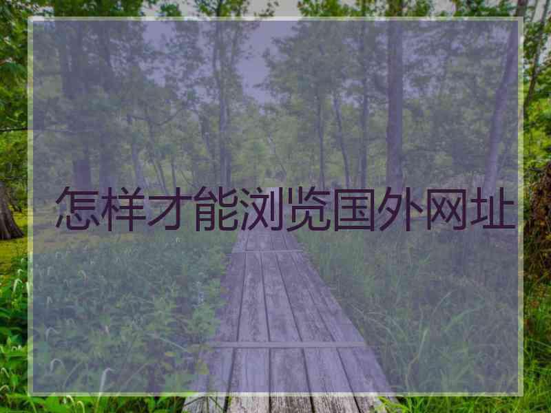怎样才能浏览国外网址