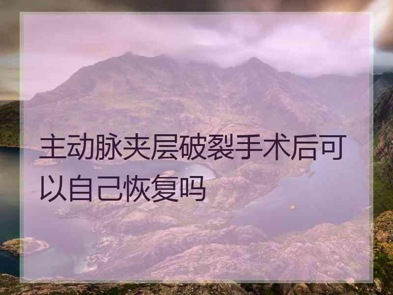 主动脉夹层破裂手术后可以自己恢复吗