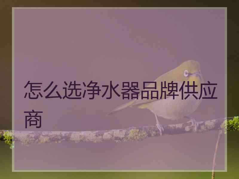 怎么选净水器品牌供应商