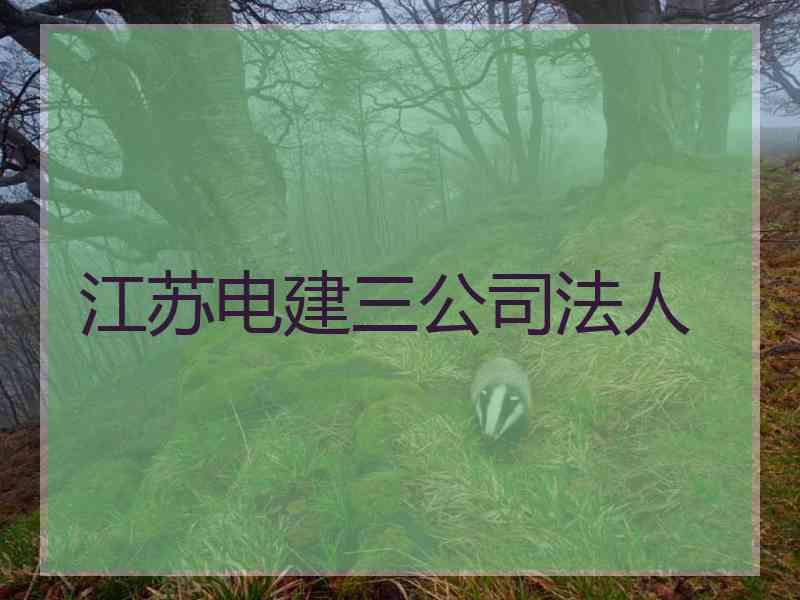 江苏电建三公司法人