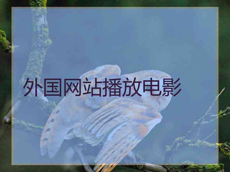 外国网站播放电影
