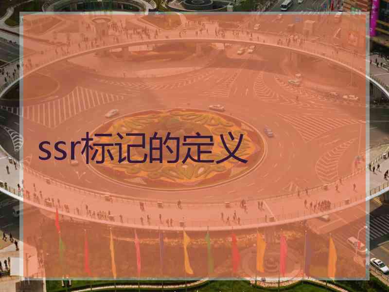 ssr标记的定义