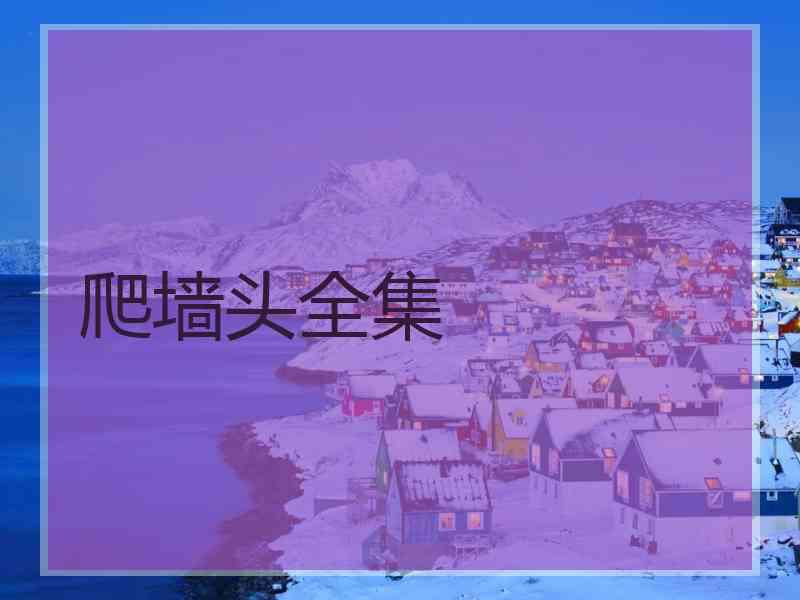 爬墙头全集