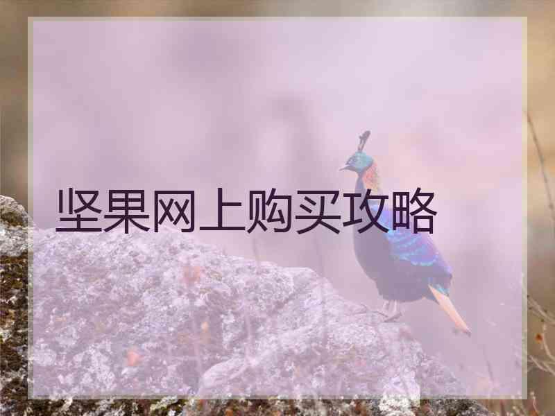 坚果网上购买攻略