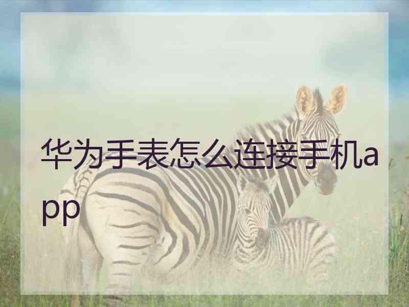华为手表怎么连接手机app