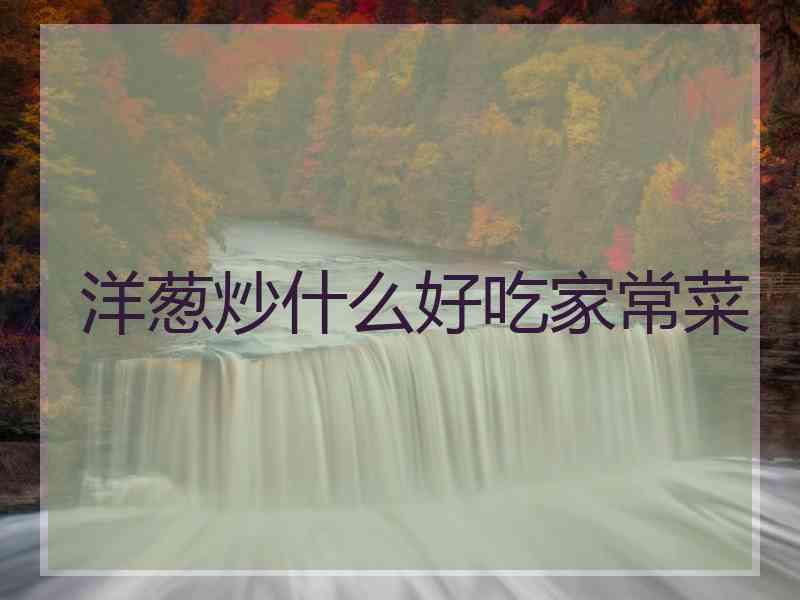 洋葱炒什么好吃家常菜